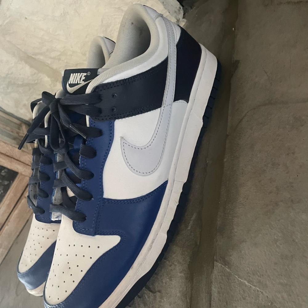 Nike Dunks Men's no box